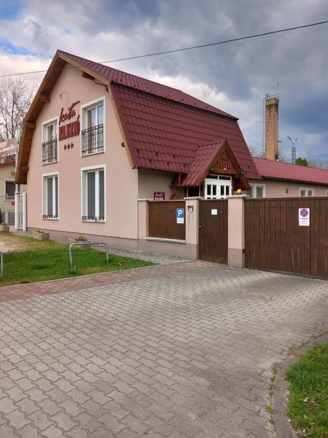 Hotel Kata Panzio Oroszlány Exterior foto